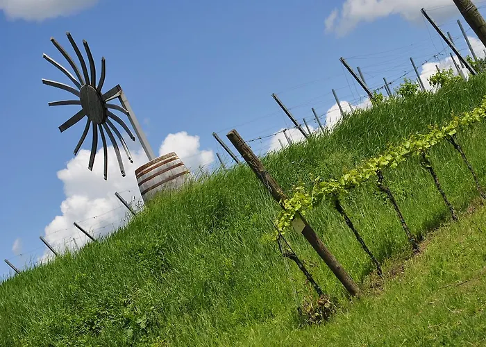 Hotel-restaurant Schweinberger Stetten